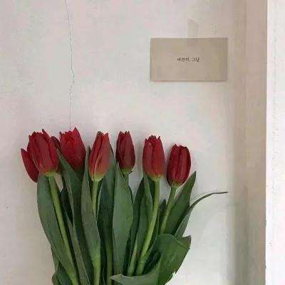 一直奔向月网易手游下载